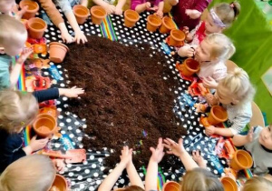 Dzieci napełniaja doniczki ziemią.