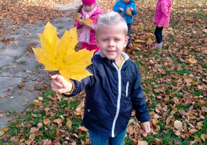 chłopiec trzyma liścia