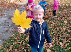W poszukiwaniu darów jesieni - zabawy w ogrodzie przedszkolnym.