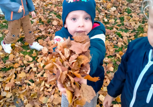 chłopiec trzyma zebrane liście