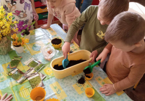 Dzieci przygotowują klasowy ogródek