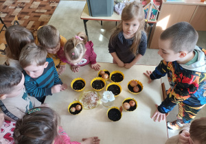 Dzieci zakąłdaja hodowle roślin